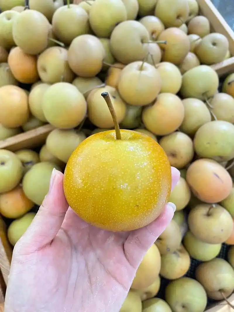 记忆中的黄皮梨.