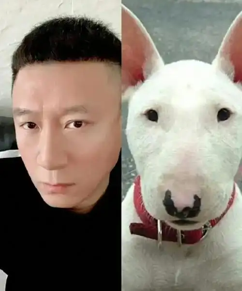 回顾撞脸动物的明星王一博还能忍看到易烊千玺简直是神似