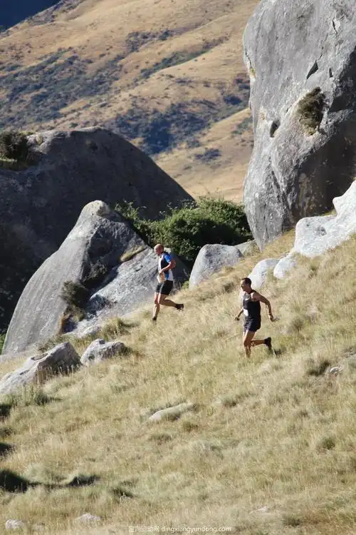 相片详情 - 定向运动网 - 定向运动专业网站