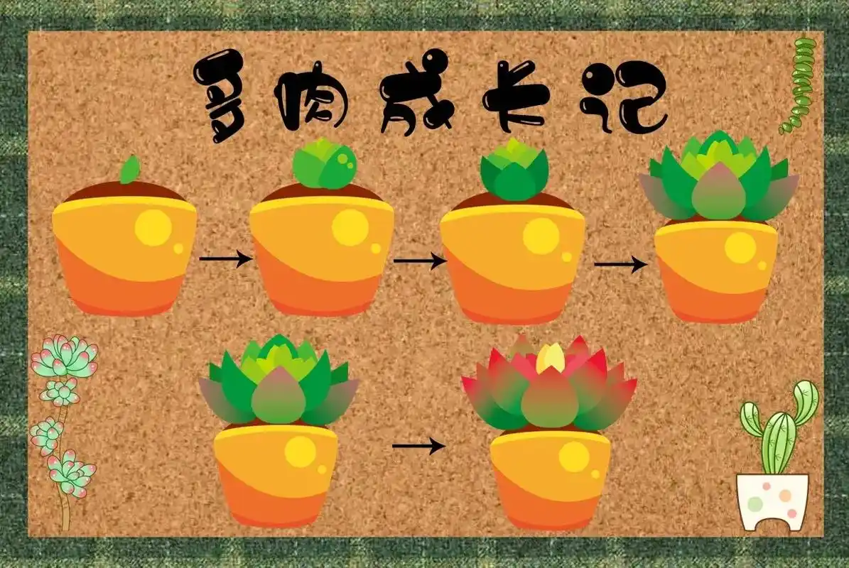幼儿园植物角环创.多肉成长记#幼教资源共享 #环创素材 #幼 - 抖音