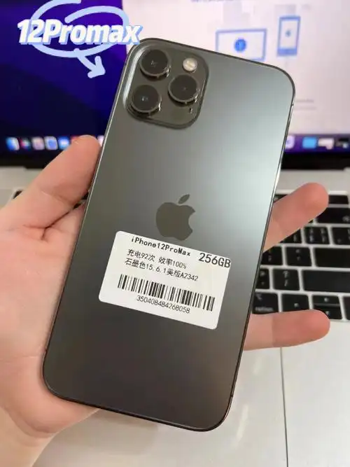 iphone12promax256gb电池100767676