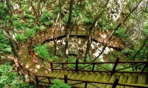 昌平大岭沟猕猴桃谷5月1日开放