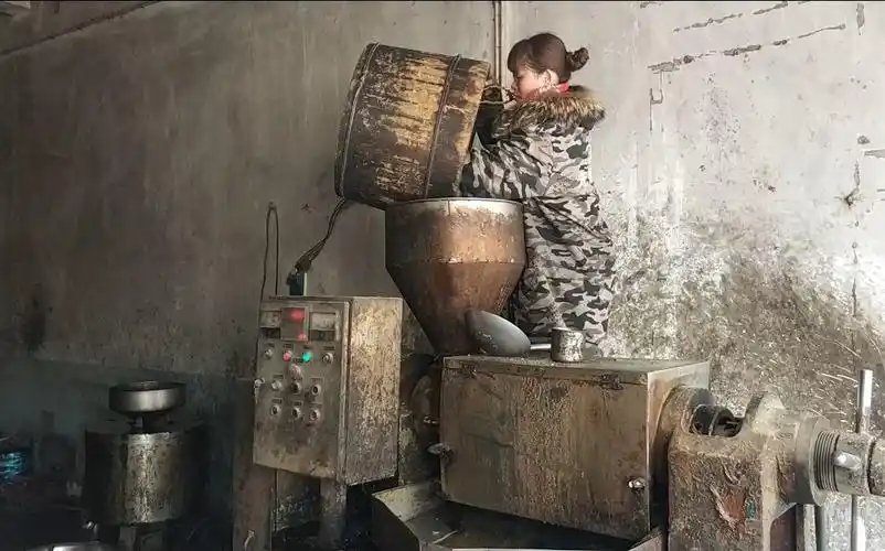 实拍农村小作坊榨油全过程才5毛钱一斤这样吃下去的油才放心