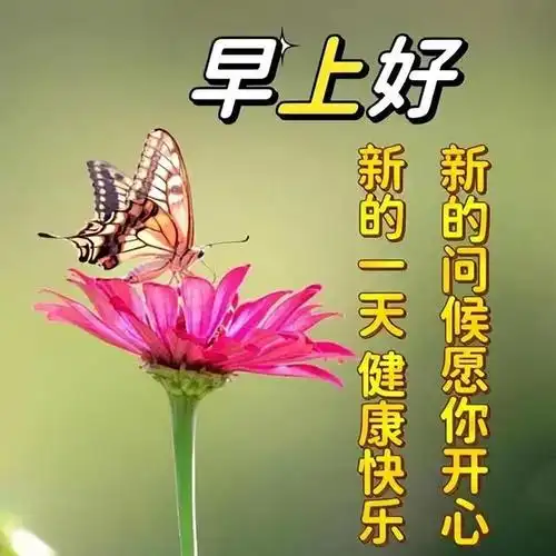 1. 早上好!带着欢笑与自信度过今天,愿您的每一天都充满勇气与希望.