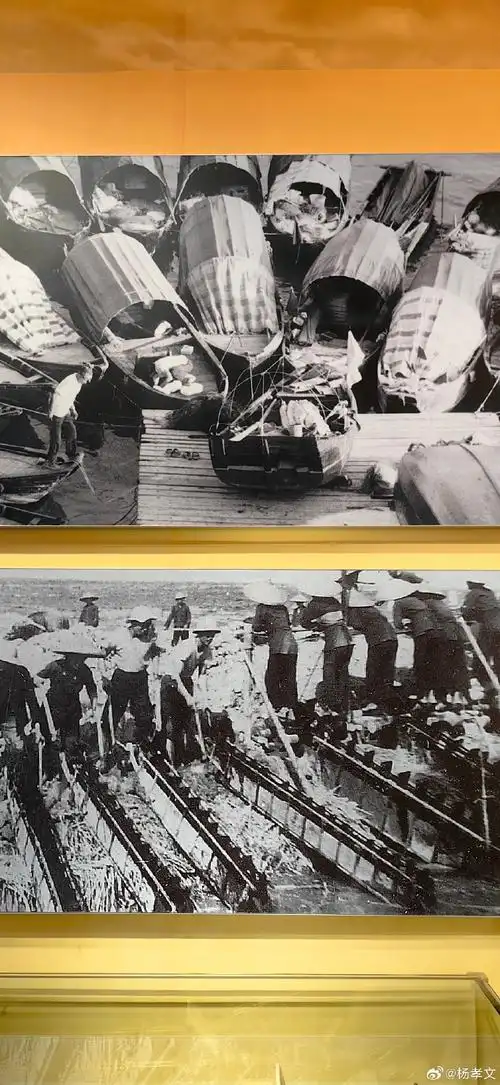 万千气象看广东