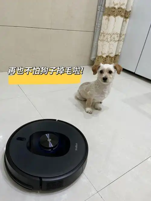 扫地机器人有了它家里地板每天都是做sp