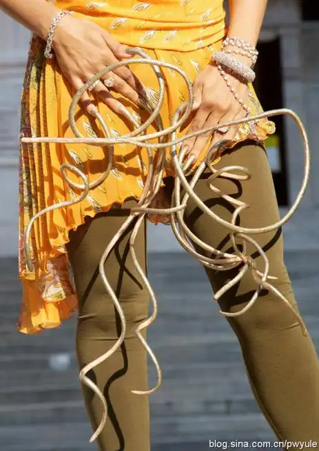 美国"妖女"6米长指甲破世界纪录