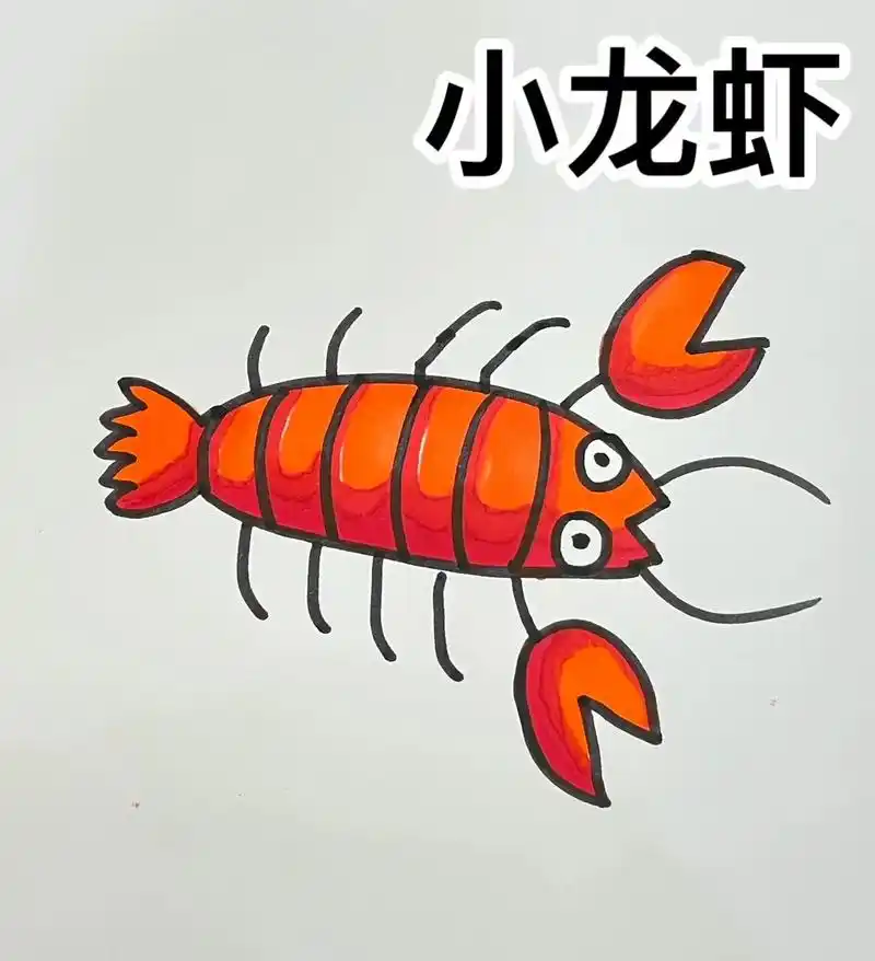 0 分享 回复 贝贝简笔画 粉丝 562 获赞 3237 关注 小龙虾简笔