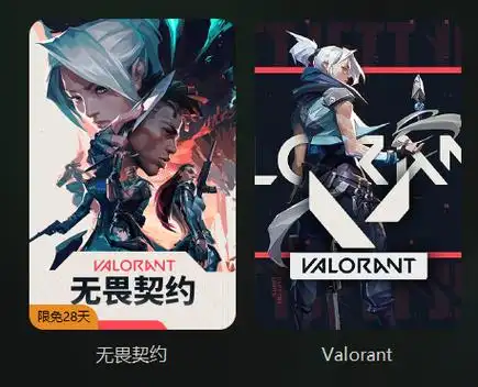 瓦罗兰特 valorant卡在加载界面进不去 卡界面解决办法