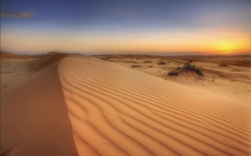 这个沙漠覆盖了整个沙特阿拉伯南部地区和大部分的阿曼,阿联酋和也门