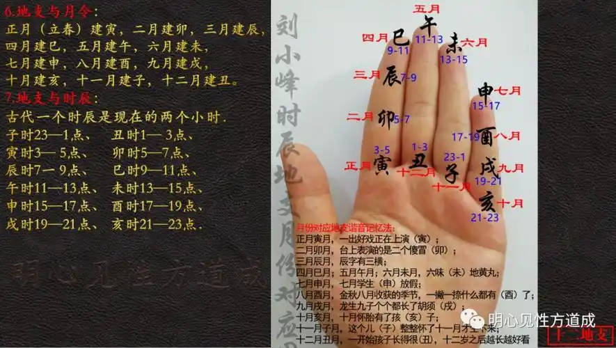 无为子大讲堂大六壬金口诀理论基础篇