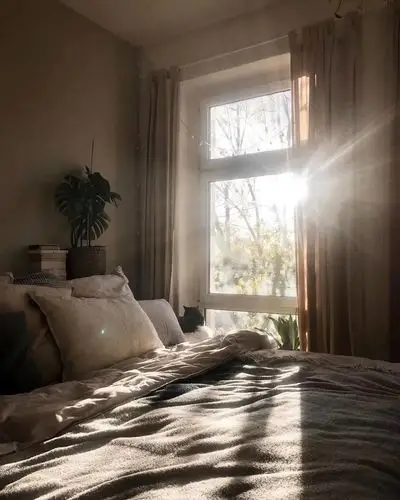 阳光透过窗户洒进来,家中的花草都有了生命