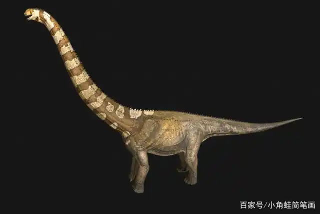 泰坦巨龙类恐龙介绍以及简笔画