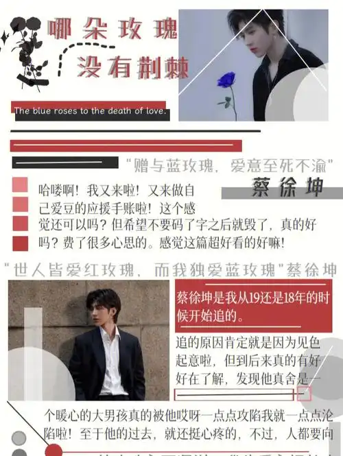 念念手帐–蓝玫瑰蔡徐坤