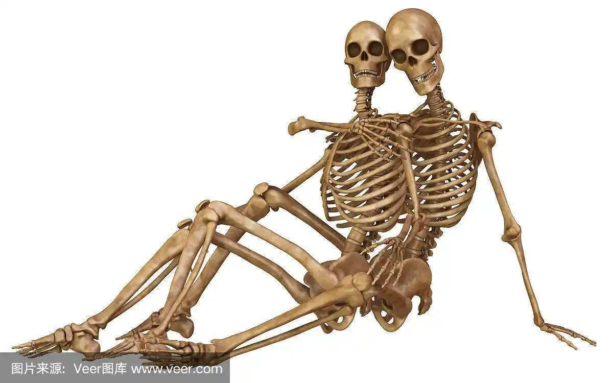 男人和女人的骷髅,摆着恋人的姿势.孤立在白色背景的3d插图