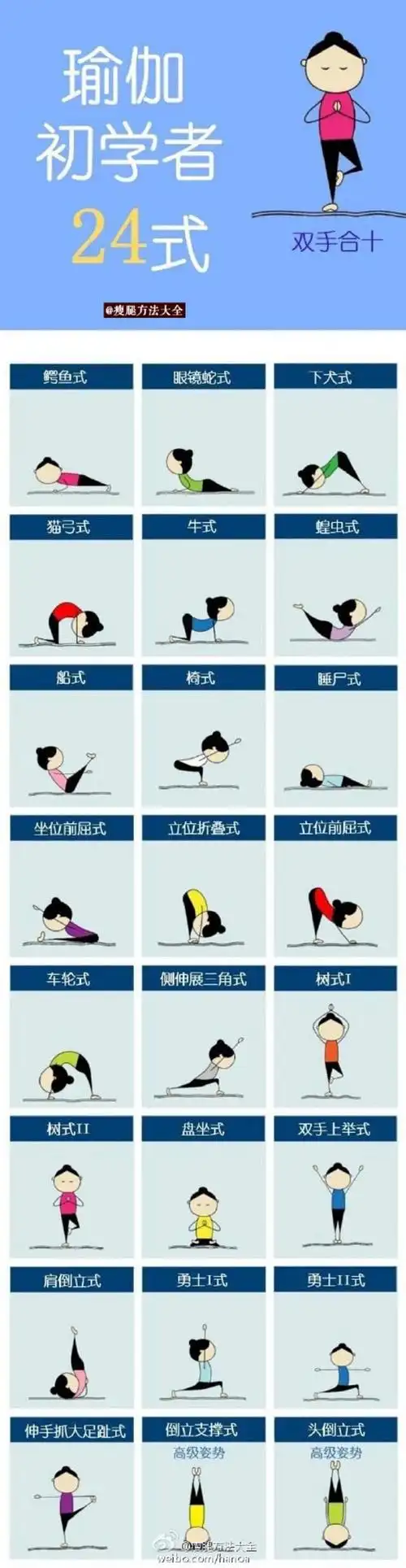 瑜伽初学者24式