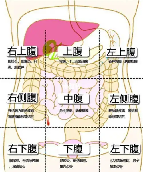 1,上腹部痛——查胃;2,中腹部痛——查小肠;3,下腹部痛——查膀胱;4