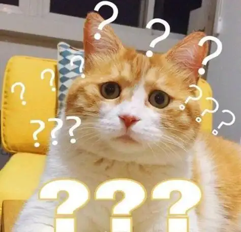 猫咪问号-表情图片 - 壁纸家