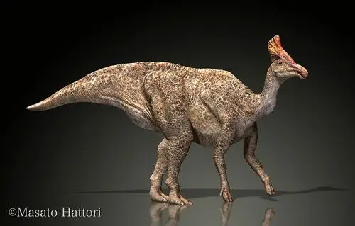 扇冠大天鹅龙,恐龙图片,恐龙图库