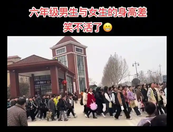 真实故事之六年级男生与女生的身高差