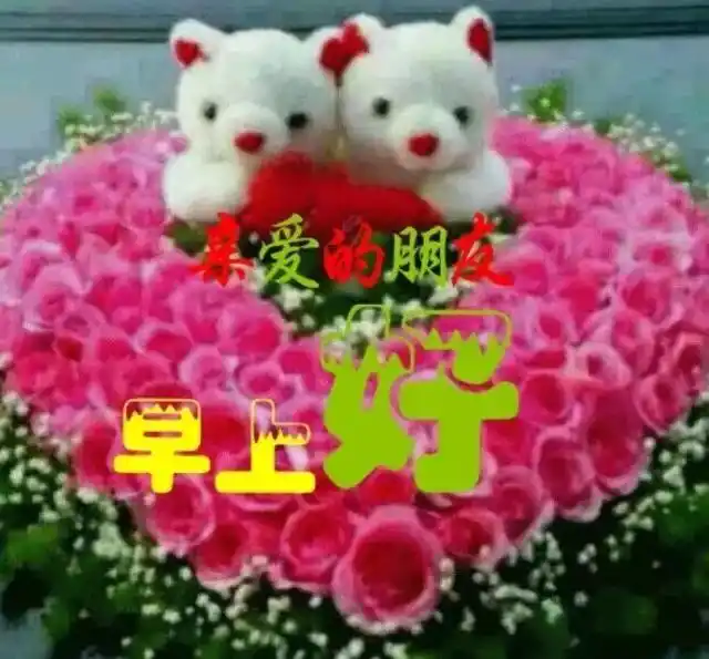 房子搞卫生洗衣服,然后去图书馆呆上一个下午,但是现在先让我再睡一会