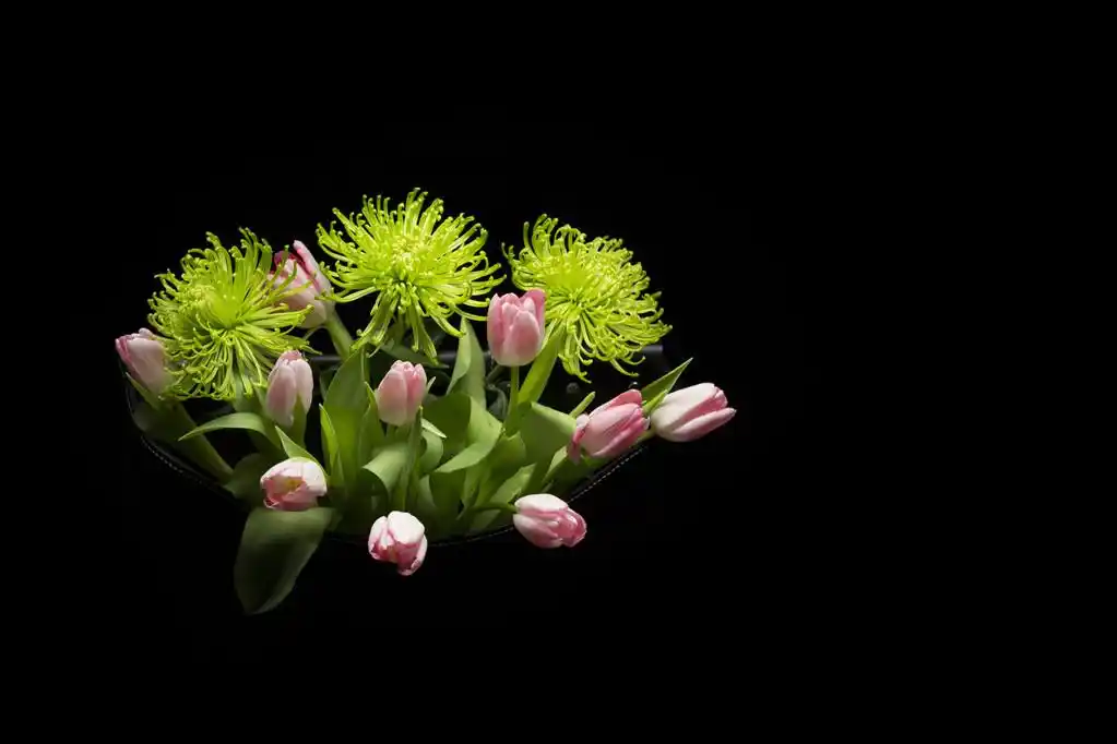 在黑色的花,插花黑色背景上的一张照片.