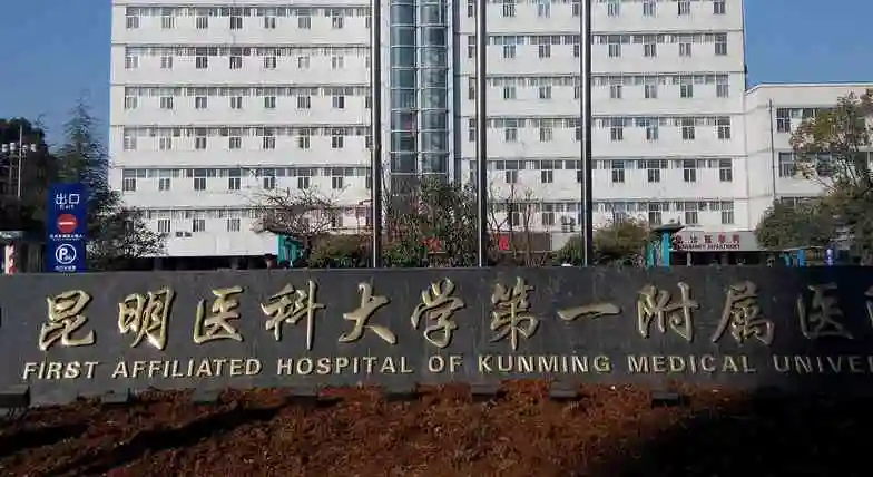 当地人能说说昆明云大医院试管婴儿成功率高吗具体是多少