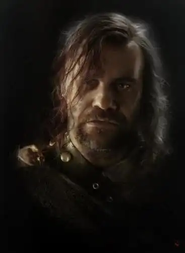 by ania mitura 冰与火之歌人物: 猎狗——提到桑铎·克里冈;很喜欢他