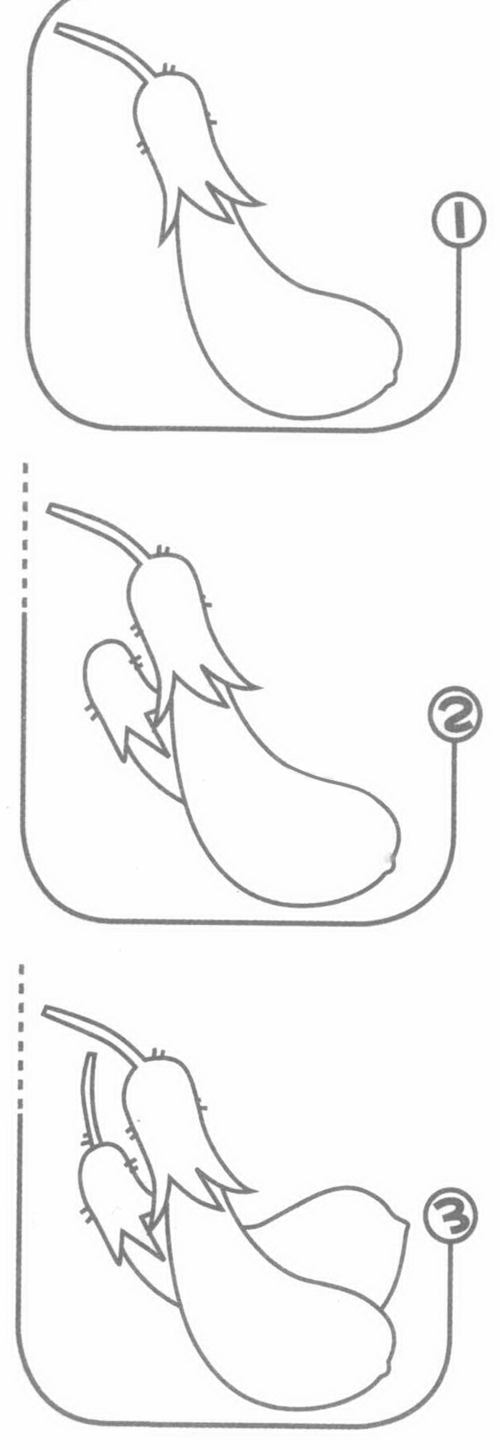 茄子简笔画步骤图解教程儿童画绘画吧-画画