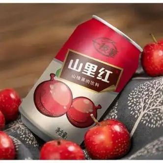 隽颜堂一枝笔山里红山楂汁果味饮料山楂浓缩果汁245ml10罐整箱解腻