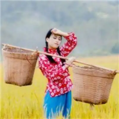 农村美女真实头像图片大全