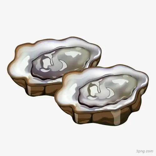 卡通扇贝矢量图下载