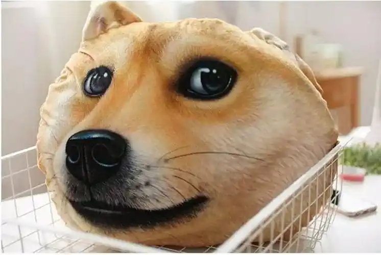 超萌可爱创意神烦狗doge哈士奇3d狗头大抱枕靠垫汪星人生日礼物