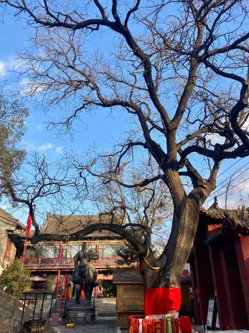 寻迹太原古建筑:白云寺