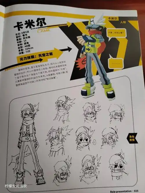 凹凸世界第二季雷狮海盗团全部设定