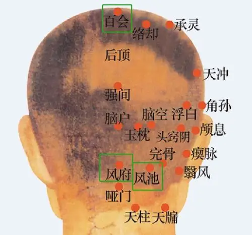 位于颈部,当枕骨之下,与风府穴相平,胸锁乳突肌与斜方肌上端之间的