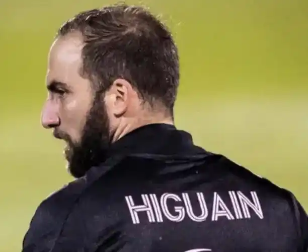 p>冈萨洛·伊瓜因(gonzalo higuaín),1987年12月10日出生于法国