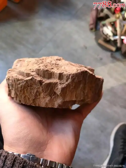 亿万年老木化石硅化木原石摆件