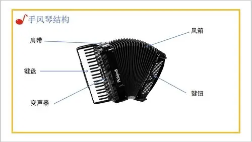 小巧手,能助力——《美妙的手风琴》