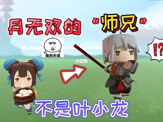 月无双的师兄不是叶小龙