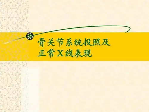 x线投照及解剖ppt