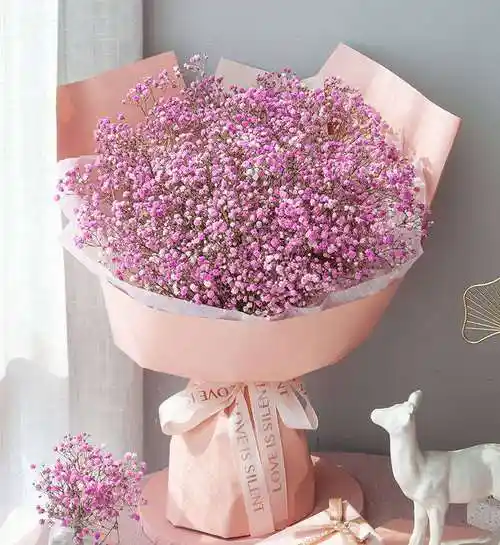 满心欢喜/粉色:粉色满天星5枝_鲜花-花礼网(鲜花礼品网)