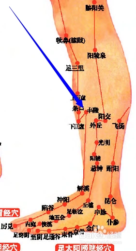 1从腿的外侧找到膝眼和外踝这两个点,连成一条线,然后取这条线的中点
