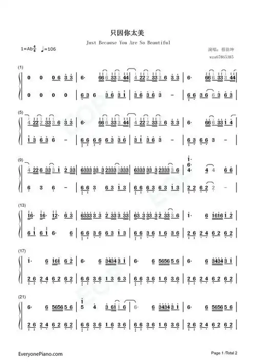 只因你太美-蔡徐坤