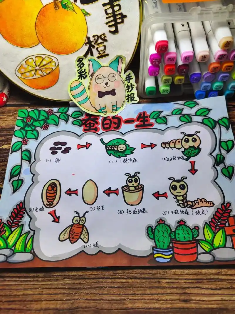 蚕的一生 手抄报 挑战三个月100图(19)点赞 关注免费分 - 抖音