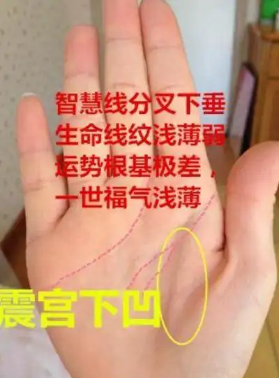 最命薄的女人手相晚年必定无依无靠一辈子劳碌命