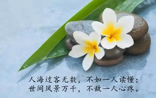 适合发微信的说说心情语句 朋友圈触动心底的句子