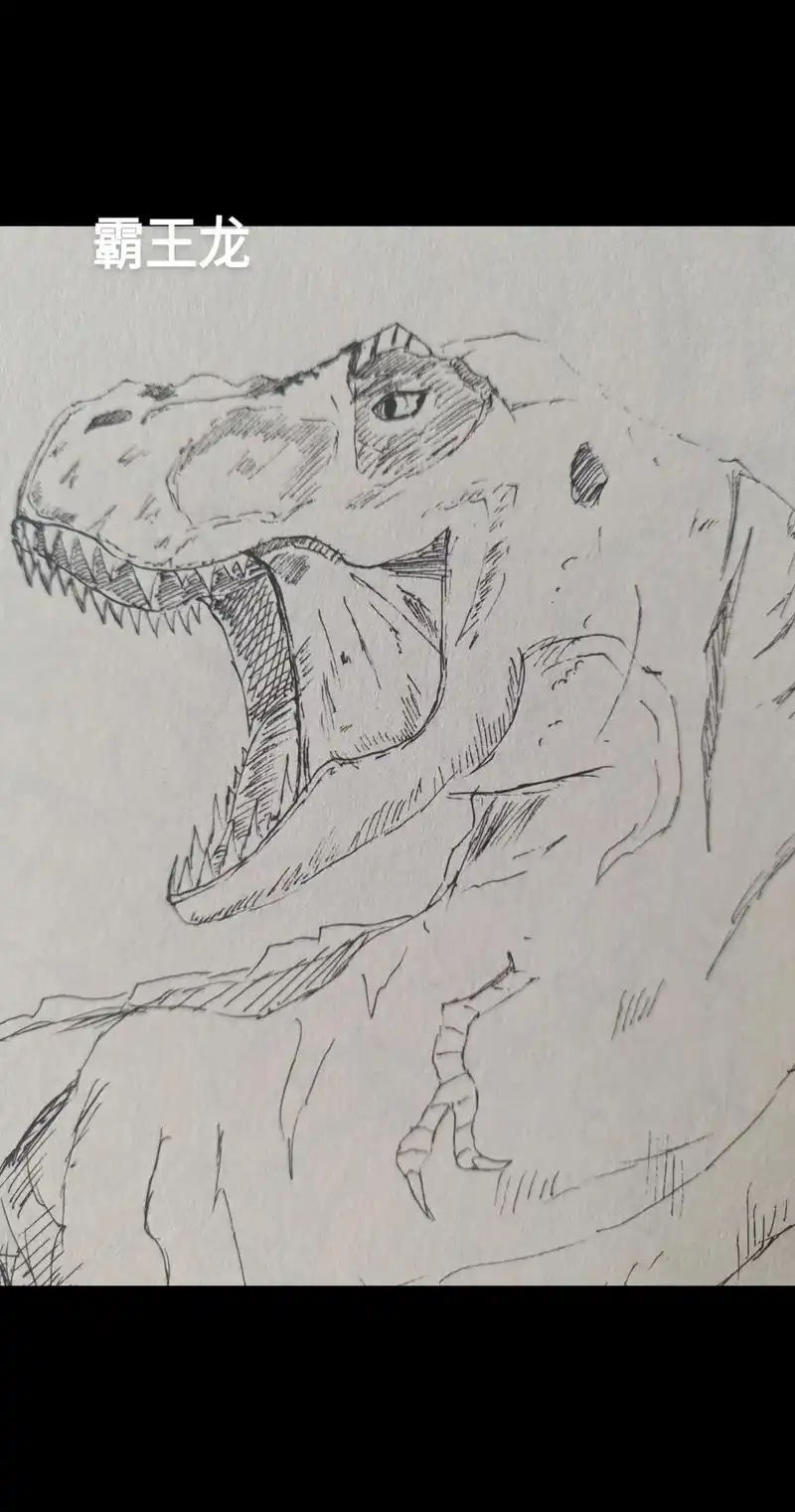 霸王龙# #手绘 #黑白线描画 - 抖音