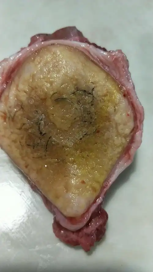 青鱼石值多少钱谁知道,谢谢