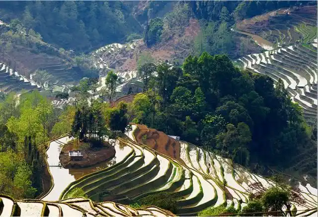 攀枝花乡(云南省红河哈尼族彝族自治州元阳县下辖乡)_尚可名片